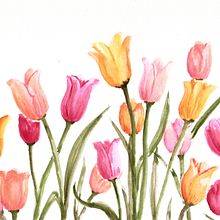 Mi Proyecto del curso: Creación de paletas de color con acuarela. Creativit, Traditional illustration, Botanical Illustration, and Watercolor Painting project by Nerwen Earwen - 05.09.2020