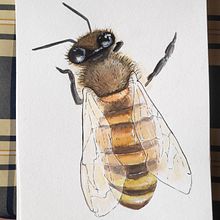 Abejas. Traditional illustration project by marinamanresasanchez - 05.15.2020
