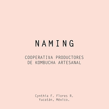 Naming cooperativa/bebida kombucha. Un projet de Naming de Cynthia Flores - 10.05.2020