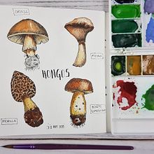 Mi Proyecto del curso: Ilustración de un diario naturalista. Projekt z dziedziny R i sunek botaniczn użytkownika evirol - 10.05.2020