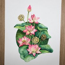 Mi Proyecto del curso: Técnicas de acuarela en negativo para ilustración botánica. Projekt z dziedziny R i sunek botaniczn użytkownika middling_love - 11.05.2020