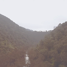 HighCam Drone - Forest. Video project by Arturo Fdz de Castro - 05.11.2020