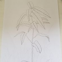 Dibujo a línea. Artistic Drawing project by Marcos Rodriguez - 05.11.2020