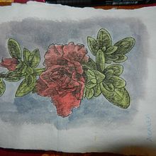 Mi Proyecto del curso: Ilustración de un diario naturalista. Un progetto di Disegno artistico, Illustrazione tradizionale e Pittura ad acquerello di Caged Art - 12.05.2020