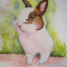 Mi Proyecto del curso: Coco el conejo de mi hija Leicka.  Ein Projekt aus dem Bereich Aquarellmalerei von Ivonne Ramirez - 22.07.2020