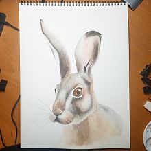 My project in Experimental Watercolor Techniques for Beginners course. Un proyecto de Dibujo artístico, Bellas Artes y Pintura a la acuarela de freja - 19.05.2020