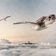 Mi Proyecto del curso: Fotomontaje surrealista con Photoshop . Collage, Concept Art, Creativit, Design, and Digital Illustration project by Sarah Chaparro - 05.13.2020