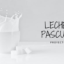 Mi Proyecto: Análisis para la mejora de Leche Pascual en comunicación.. Digital Marketing project by ralberca - 05.18.2020