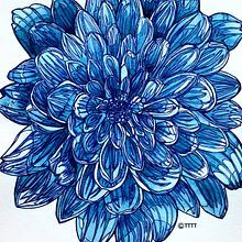 La flor azul . Un projet de Art conceptuel, Dessin, Dessin artistique, Design , Conception d'affiches, Illustration botanique, Peinture , et Aquarelle de LYDIA PÉREZ CARBAYO - 12.05.2020