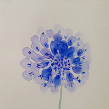 Mi Proyecto del curso: Técnicas aplicadas de ilustración en acuarela. Botanical Illustration project by RAQUEL SALAMANCA BARRIO - 05.14.2020