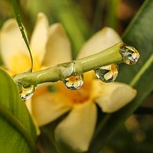 Rain Like This. Fine-Art Photograph project by Adriana Herrera - 05.15.2020