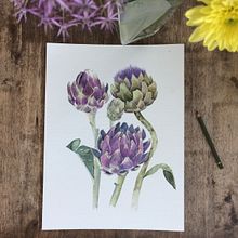 Mi Proyecto del curso: Ilustración botánica con acuarela. Projekt z dziedziny Projektowanie produktowe, Trad, c, jna ilustracja, R, sunek botaniczn i Malowanie akwarelą użytkownika Marisol Ormanns - 15.05.2020