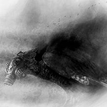 Corrosión de la serie Nueva Normalidad. Mi Proyecto del curso: Postproducción fotográfica para la imaginación. Un progetto di Fotografia artistica di Baltazar Ibarrola Monsalves - 16.05.2020