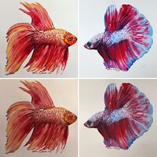 Meu projeto do curso: Técnicas experimentais de aquarela para principiantes . Projekt z dziedziny  Sztuki piękne użytkownika Joelma Santanita - 16.05.2020