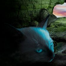 Lugar perdido. Un progetto di Composizione fotografica e Graphic design di sebkgw3 - 03.07.2020