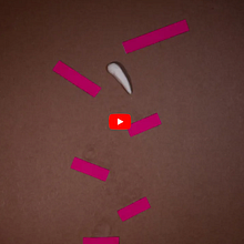 My first Stop Motion. Un projet de Stop motion de danielb - 17.05.2020