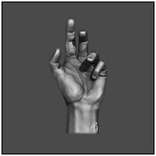 Anatomy_Hand. Un proyecto de 3D de Pedro Javier Asuar Catalán - 17.05.2020