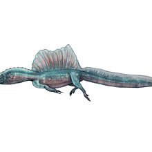 Ilustraciones con Procreate . % Sergio Pacheco Castro tarafından hazırlanan Dijital İllüstras, Ve on projesi - 05.15.2020