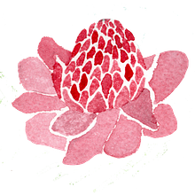 Mi Proyecto del curso: Técnicas aplicadas de ilustración en acuarela. Un progetto di Pittura ad acquerello di Monica Palma - 18.05.2020