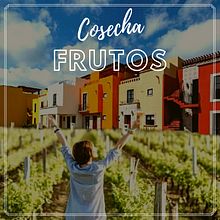 Mi Proyecto del curso: Copywriting: define el tono de tu marca personal. Social Media project by andres_moncada - 05.19.2020