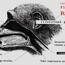 PEDAGOGÍA ONLINE | taller REC (((polifonías virtuales))) -vozglobal- con Pía Sommer en Materic.org. Projekt z dziedziny  Sztuki piękne, Concept art, Kreat, wność i Edukacja użytkownika MATERIC.ORG - espacio de arte de performance - 20.05.2020