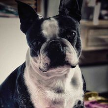 Mi Proyecto del curso: Fotografía lifestyle para Instagram . Een project van Fotografie van catalina martinez - 20.05.2020