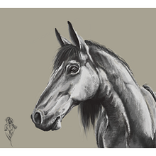 Horse Sketch Ein Projekt aus dem Bereich Digitale Zeichnung von Iris Santos - 21.05.2020