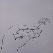 Meu projeto do curso: Desenho para principiantes nível -1. Drawing project by jessica.camara - 05.23.2020