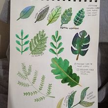 Mi Proyecto del curso: Técnicas aplicadas de ilustración en acuarela. Watercolor Painting project by Maria Echarry - 05.20.2020