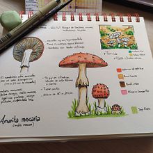 Mi Proyecto del curso: Cuaderno botánico en acuarela. Watercolor Painting project by Angela Martin - 05.23.2020