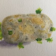 el kartoflo - My project in Modern Watercolor Techniques course. Watercolor Painting project by Magdalena Julkowska - 05.24.2020