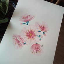 Mi Proyecto del curso: Ilustración botánica con acuarela. Un projet de Illustration botanique de Adriana Salgado - 12.06.2020