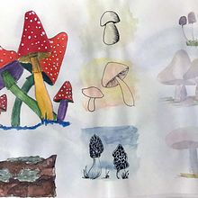 De duendes y otros seres. Projekt z dziedziny R, sunek ołówkiem, Trad, c, jna ilustracja i Malowanie akwarelą użytkownika Beatriz Gonzalez Muzzio - 25.05.2020