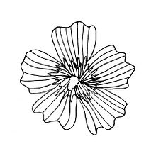 ZEN GARDEN. Vector Illustration project by flamba - 05.25.2020