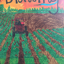 Mi Proyecto del curso: Dibujo para principiantes nivel -1. Artistic Drawing project by Daniela Patiño - 08.02.2020