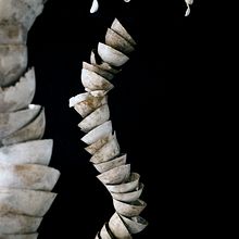 escultura. Ceramics project by Clara Graziolino - 05.26.2020