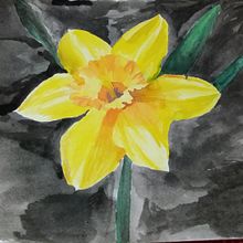 Primeros trabajos . Ilustrație botanică de Camila Grüebler - 05.25.2020