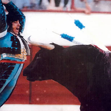 Wild Frank Toros - Programa TV. Correção de cor projeto de Sonia Abellán Avilés - 27.05.2020