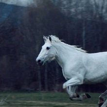 Nevver - Duelo - Videoclip. Correção de cor projeto de Sonia Abellán Avilés - 27.05.2020