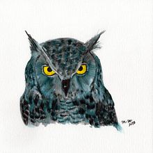 COLECCIÓN AVES  Ein Projekt aus dem Bereich Zeichnung von DARIO MORALES MALO - 28.05.2020