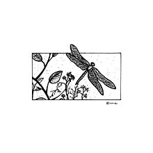 Libélula. Un proyecto de Ilustración tradicional, Ilustración con tinta e Ilustración digital de Román Cholbi - 01.11.2018