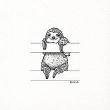 Baby Sloth. Un projet de Dessin, Dessin au cra, on, Dessin artistique, Dessin réaliste, Illustration traditionnelle, Illustration à l'encre et Illustration numérique de Román Cholbi - 11.05.2020