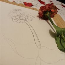 Mi Proyecto del curso: Dibujo para principiantes nivel -1. Drawing, and Pencil Drawing project by Miryan Farias - 05.29.2020