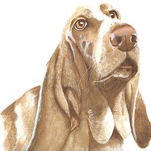 Mi perro acuarelable. Projekt z dziedziny Malowanie akwarelą użytkownika Jazmin Tapia Aburto - 01.06.2020