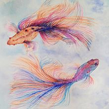 Peces betta. Un proyecto de Bellas Artes de bmjhojaraska - 03.06.2020