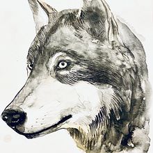 My project in Experimental Watercolor Techniques for Beginners course. Watercolor Painting project by Maria Protodyakonova - 06.05.2020