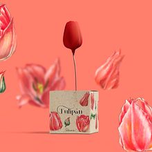 Packaging de semillas Ein Projekt aus dem Bereich Br, ing und Identität, Zeichnung, Digitale Zeichnung, Produktdesign, Grafikdesign, Traditionelle Illustration, Botanische Illustration, Digitale Illustration und Verpackung von Lola Téllez - 05.06.2020