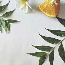 Mi Proyecto del curso: Fotografía profesional para Instagram. Instagram Photograph project by Tania Escobedo - 06.05.2020