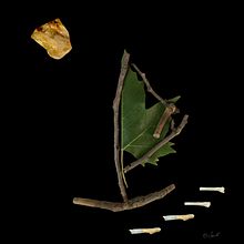 Mi Proyecto del curso: Las leyes de la percepción visual: unidad, peso, equilibrio y movimiento. Un proyecto de Iluminación fotográfica e Ilustración tradicional de Ina Georgescu - 06.06.2020