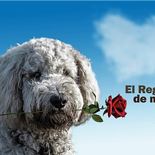 Mi Proyecto del curso: Creatividad publicitaria para todos los públicos. Br, ing, Identit, Photographic Composition, Communication, Creative Consulting, Cop, writing, and Creativit project by José Manuel Torres - 06.08.2020